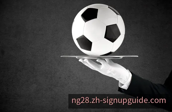 NG娱乐安全登录入口与多端加密验证护盾示意图